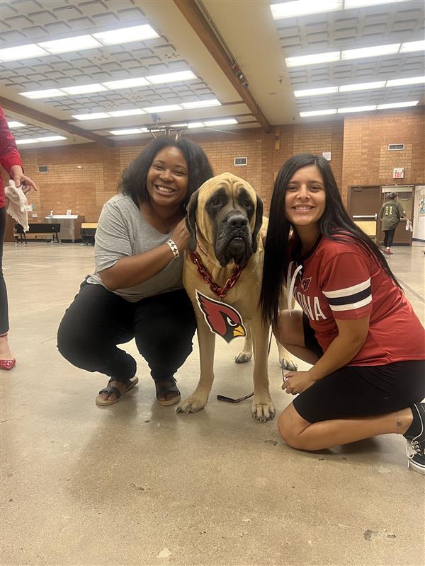 Cardinals & Scheels Assembly